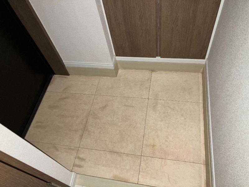 ドムス・スタイル銀座東11階 玄関