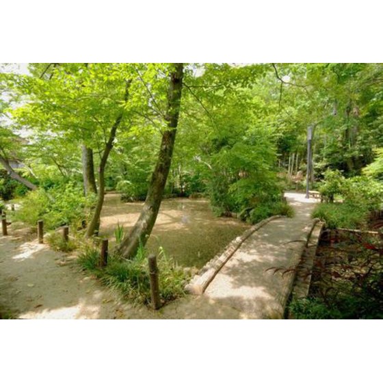 セントレージつつじケ丘 周辺