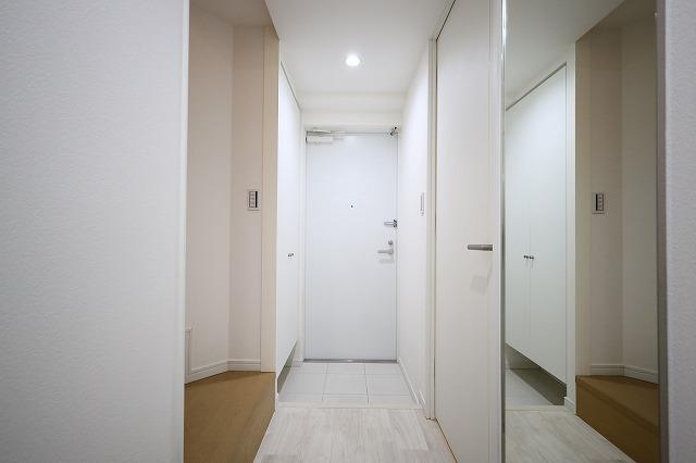 六本木デュープレックスエムズ5階 玄関