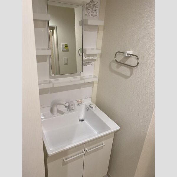 リーブルファイン大成町101号室 洗面