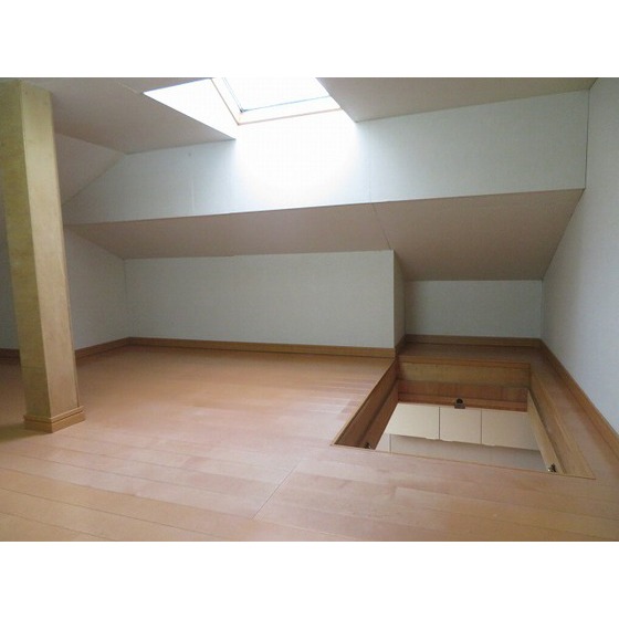 開進コーポ荻窪0201号室 屋根裏収納