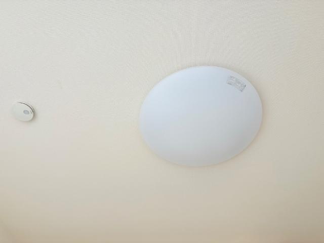 Ivy Field Ⅰ (アイヴィー フィールド ワン)205号室 照明器具