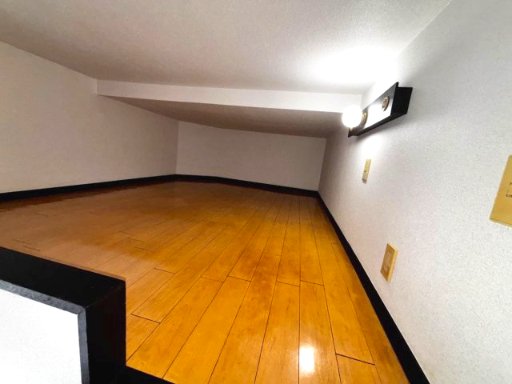 リエス稲田堤115号室 内観