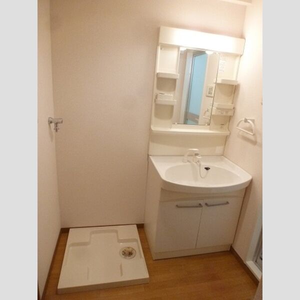 エミナンス丸山台203号室 洗面室