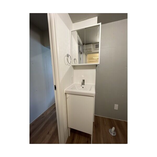 Urban　Nest　杉並1A号室 洗面