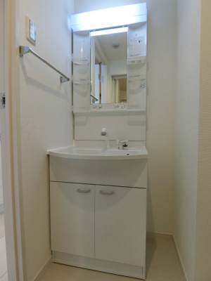 リブリ・保谷エトワール 洗面