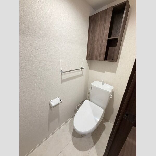 アンスリウム湘南台201号室 トイレ