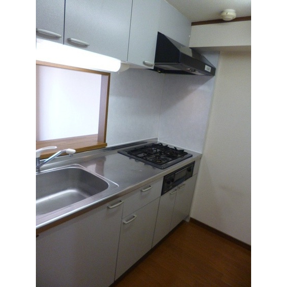 ラ・ポーム0502号室 内観