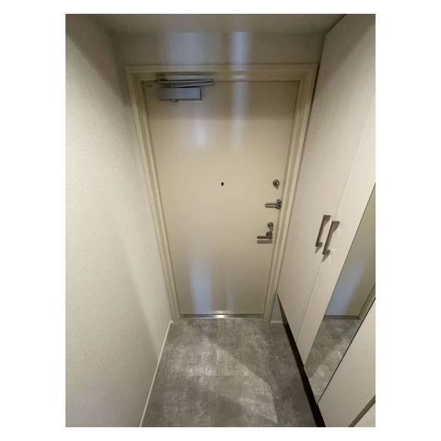 ドゥーエ亀戸Ⅱ1006号室 玄関