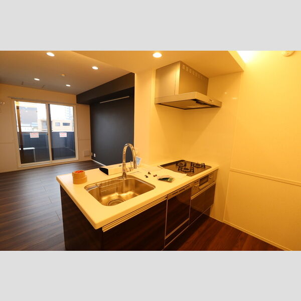 D-ROOM新宿Ⅰ-A205号室 対面キッチン