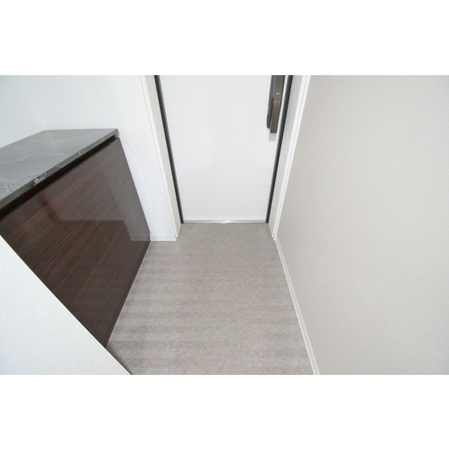 ＨＪ　ＰＬＡＣＥ神楽坂0104号室 玄関