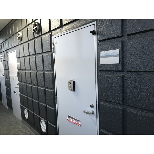 リエス伊勢原306号室 玄関