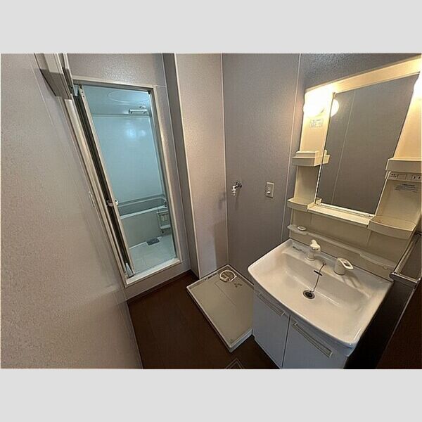 グリシーヌ102号室 洗面台