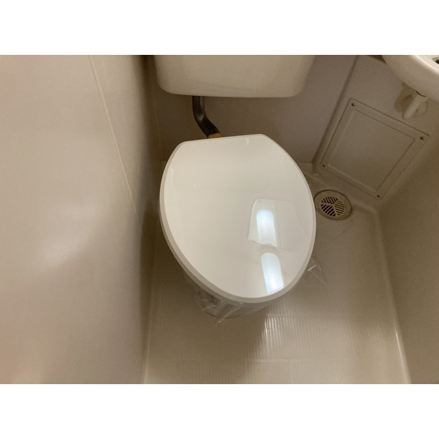 アマリリス 内観