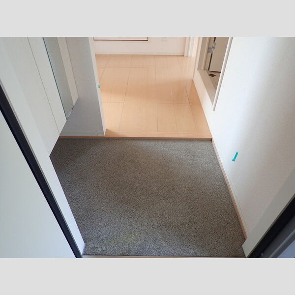 ヒルズ・カーリアA 玄関