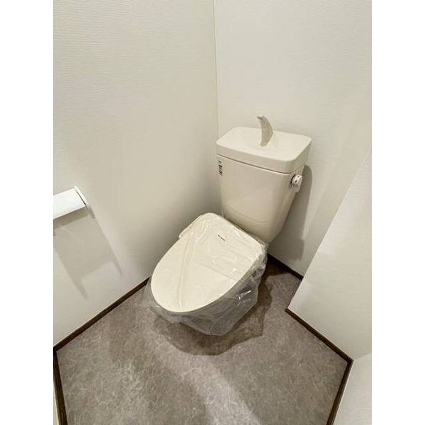 センターパーク南流山0105号室 トイレ