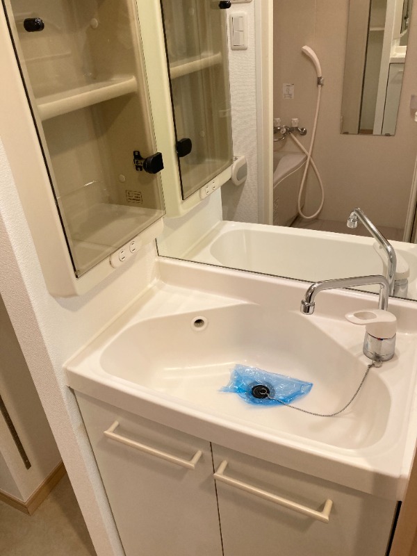 レジディア大森 洗面