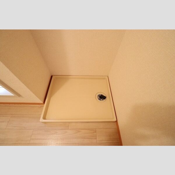 ロイヤルガーデン　B101号室 室内洗濯機置き場