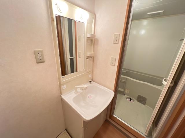 ピュア　プリミエール405号室 洗髪洗面化粧台