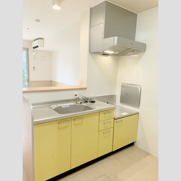 アヴェニール志津　A202号室 キッチン