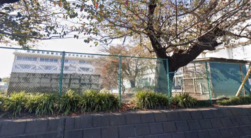 三鷹市大沢二丁目戸建賃貸 【小学校】三鷹市立大沢台小学校まで279ｍ