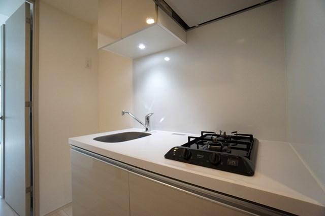 ALTERNA菊川Ⅱ6階 玄関