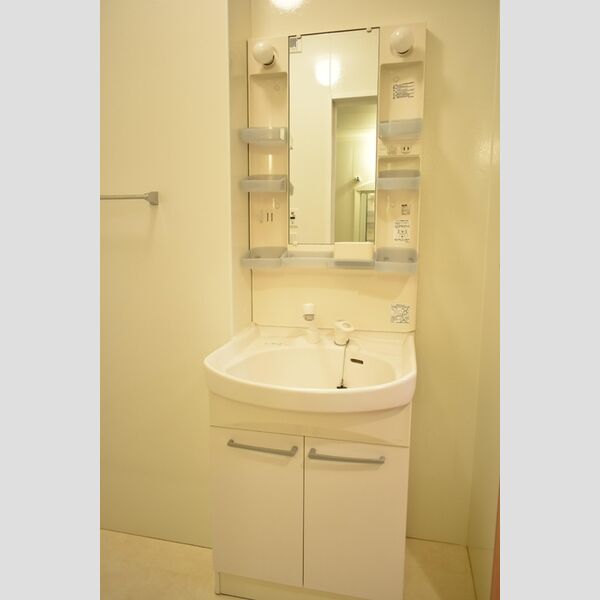 エバーグリーンガーデン　B103号室 洗髪洗面化粧台
