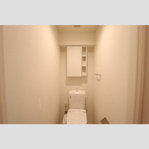 アルメール津田沼 トイレ　収納