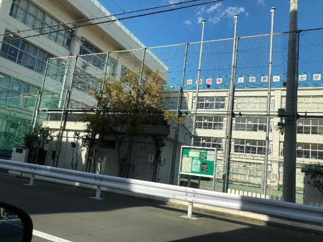 ヴィラ・ツリーサイド 墨田区立外手小学校まで120ｍ