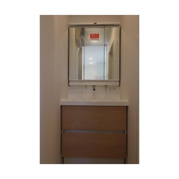 Park　Maison102号室 洗面