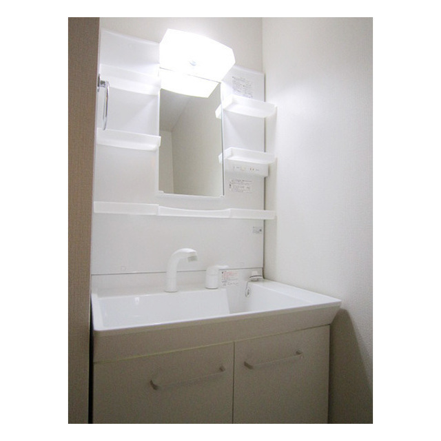 ソレイユ深沢B号室 シャンプードレッサー