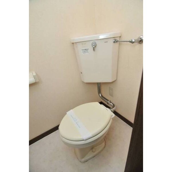 メゾン安田0201号室 トイレ