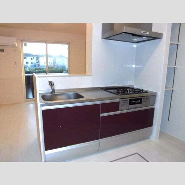 ラ・ピーノ　5101号室 対面式システムキッチン