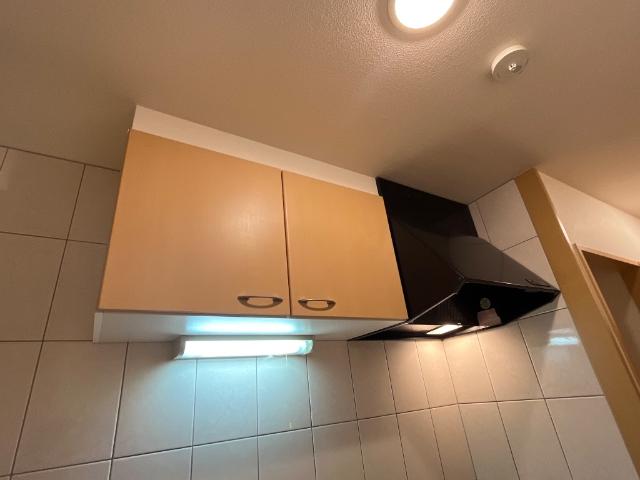 ルミナスハイム106号室 キッチン収納