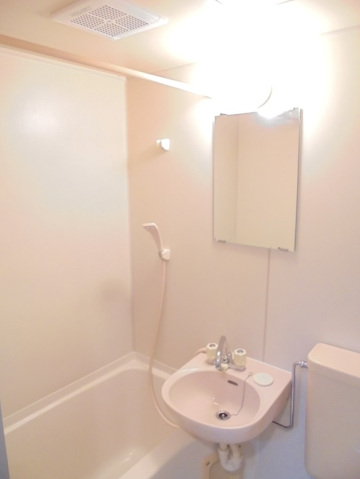 スカイコート新宿第7 洗面