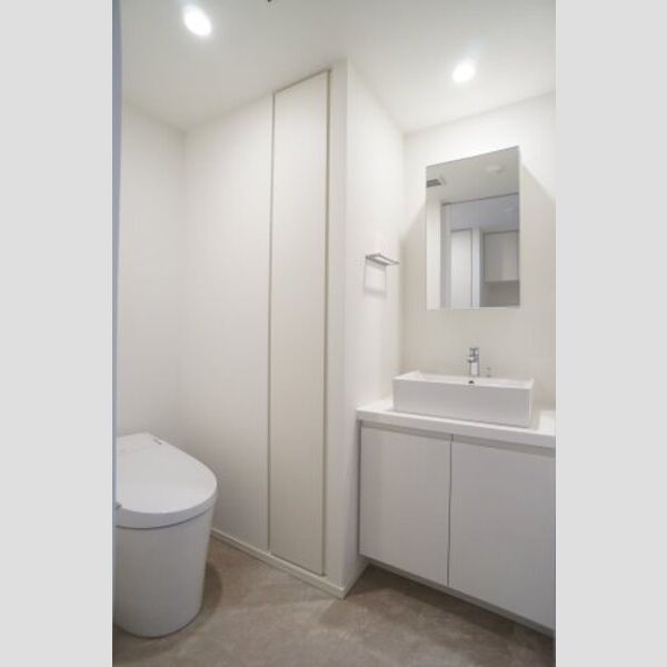 プライムメゾン森下WEST317号室 洗面所