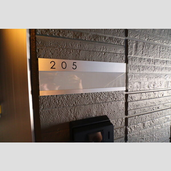 D Paina 宿河原7205号室 玄関