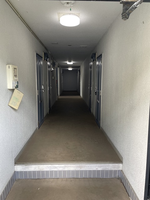 リバーサイド小林0205号室 エントランス