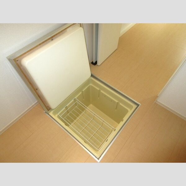 レグルス103号室 ウォークインクローゼット内に床下収納庫