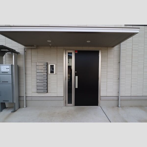 ルミナーレ(大和田新田PJ)303号室 エントランス