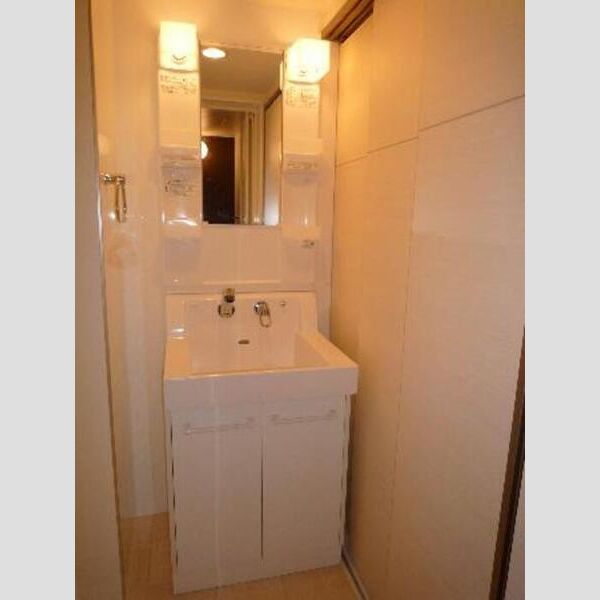 ヴィラ新天地301号室 洗髪洗面化粧台
