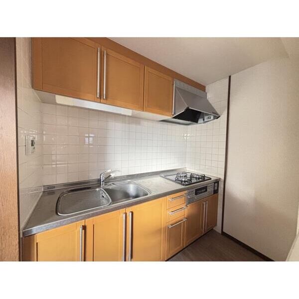 ミラベル関谷901号室 キッチン