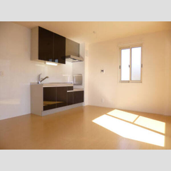 パインⅡ 202キッチン