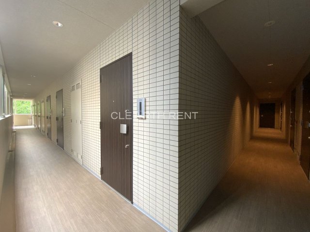 コンシェリア横濱元町 ＴＨＥ ＲＥＳＩＤＥＮＣＥ5階 共用廊下