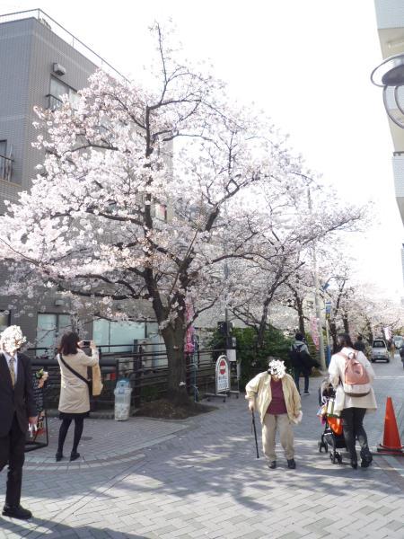 ピエール武蔵小杉1階 部屋その他