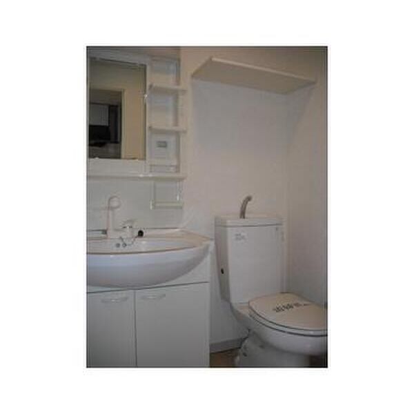 フォンターナ相模大野301号室 洗面