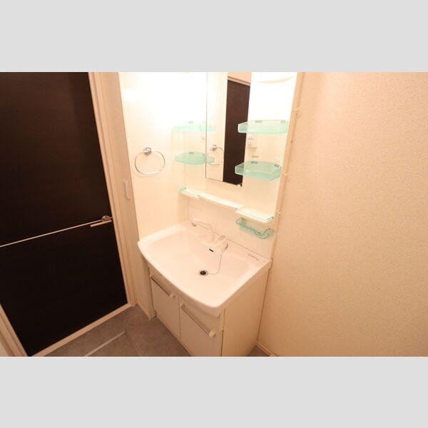 リトルアイランドⅡ206号室 洗髪洗面化粧台