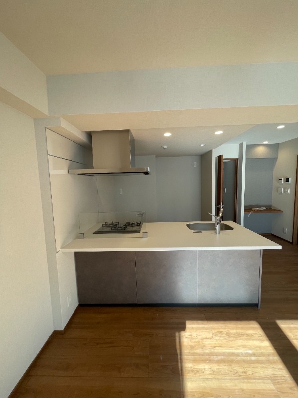  SELENE御殿山5階 キッチン