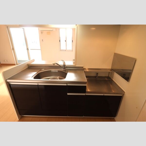 AriaOrchis203号室 キッチン