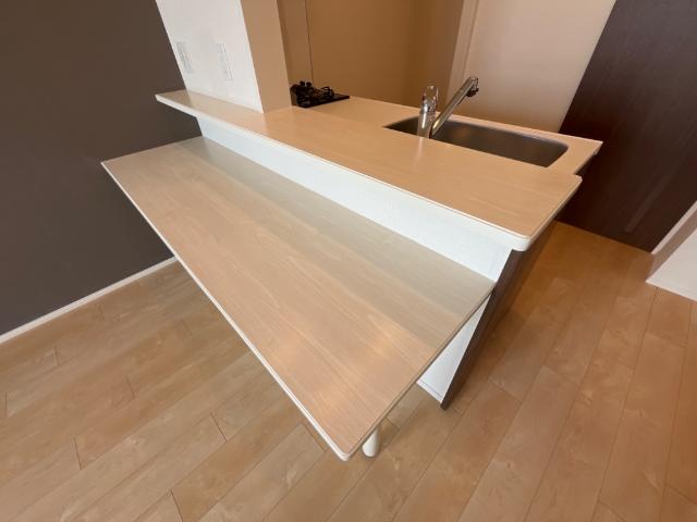 フリーダムファン601号室 キッチン